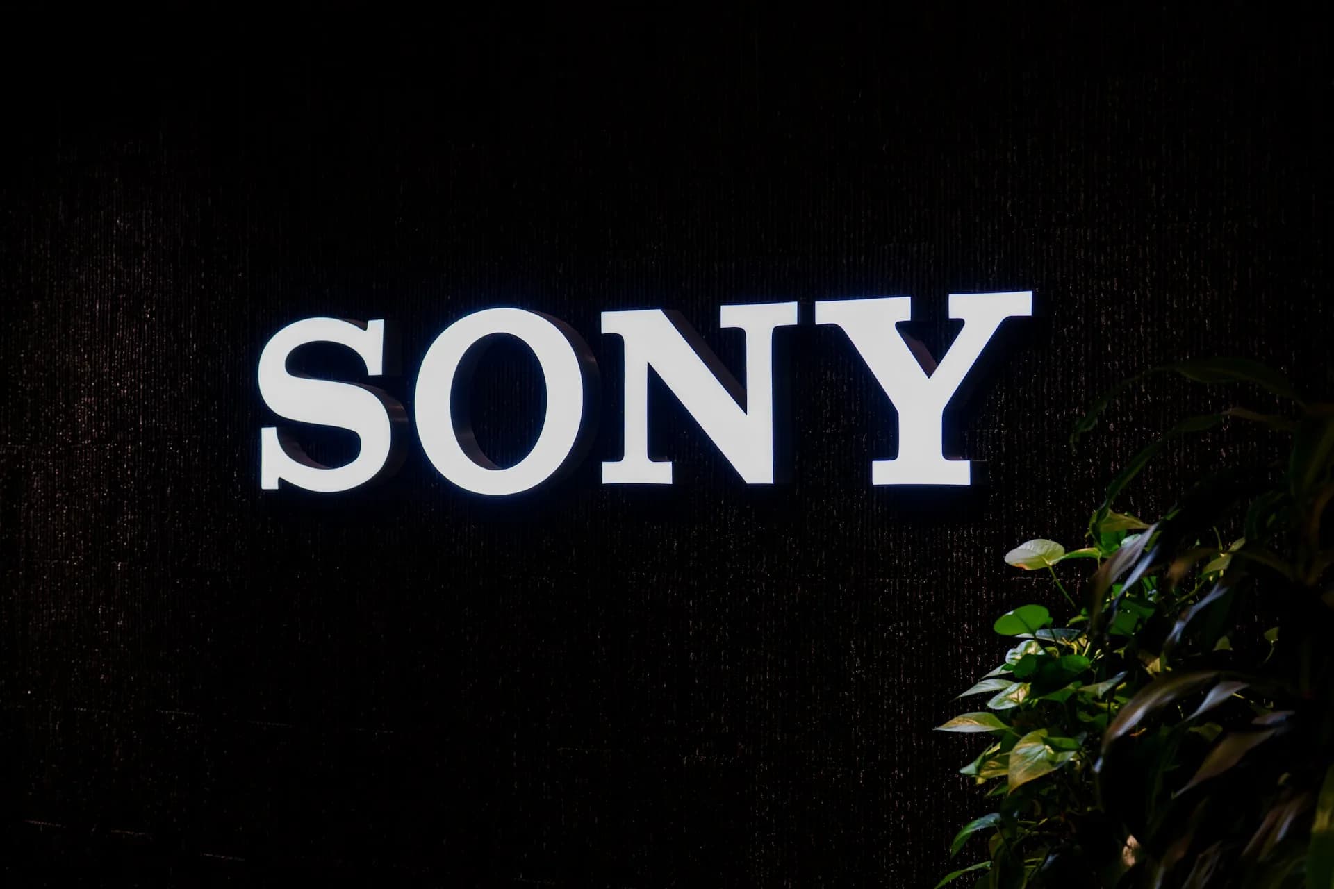 The Sony logo illuminated on a dark background.