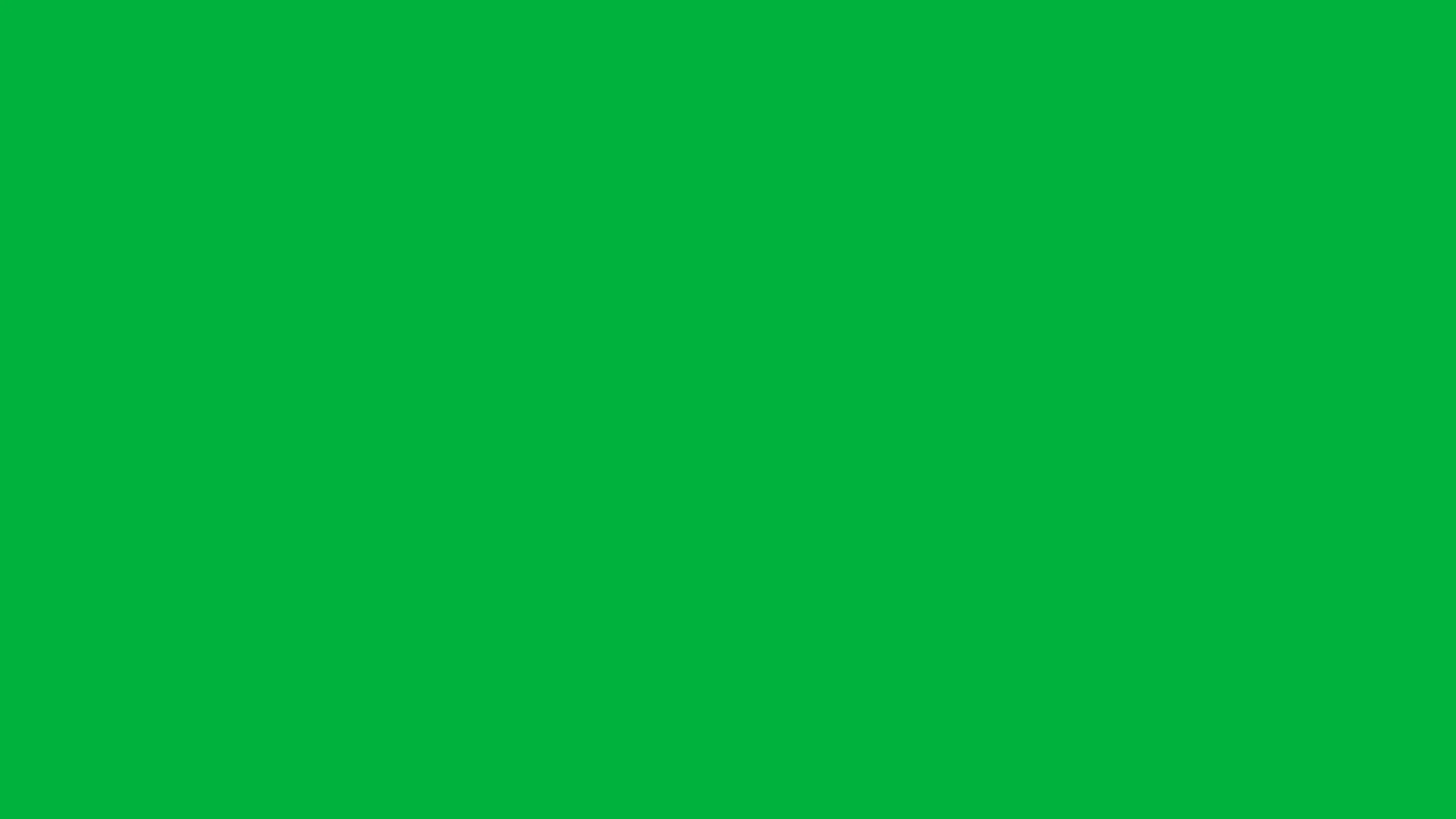 Evenly lit green chroma key background used in professional video production