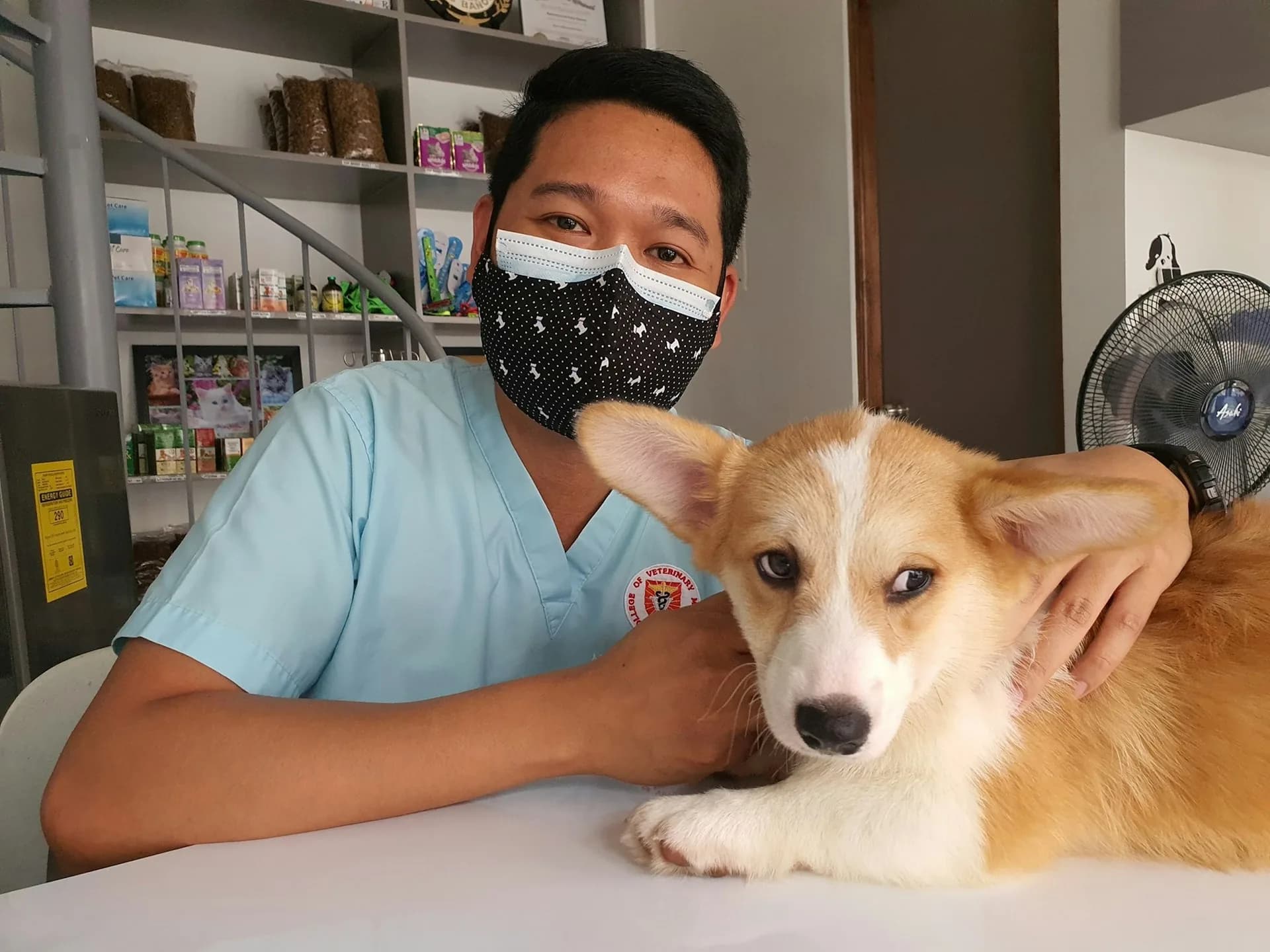 Person wearing a mask sitting next to a dog in a clinic