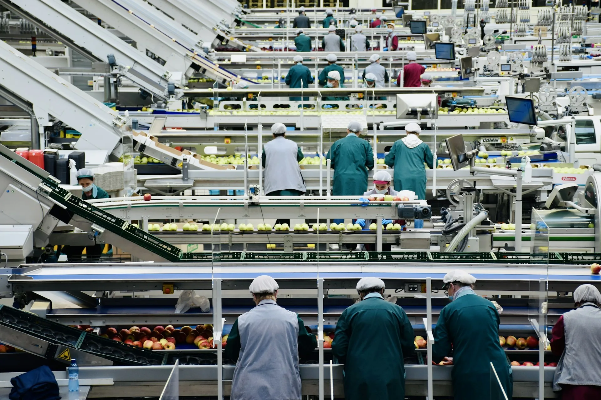Trabajadores dentro de una planta de procesado de alimentos con maquinaria industrial